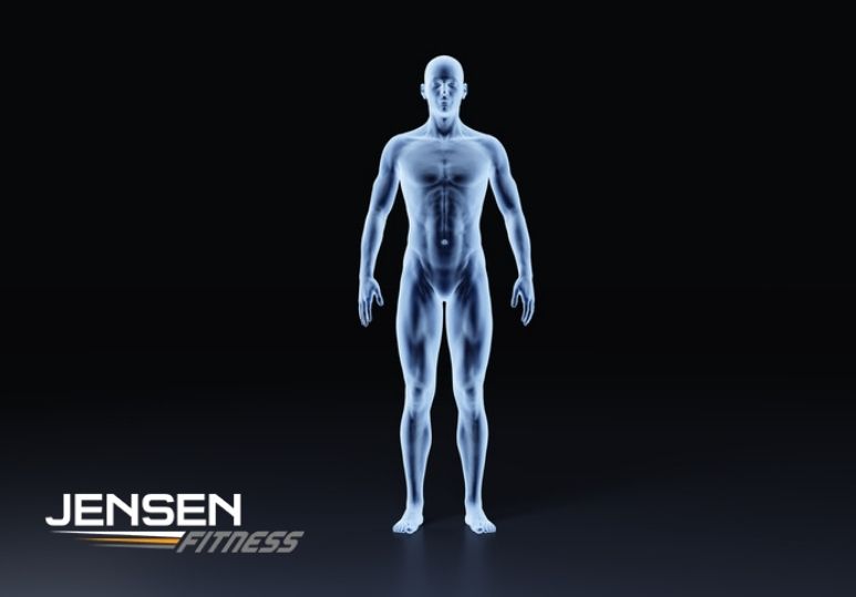 5 Reasons the Fit3D Scan is a Game-Changer for Your Body Transformation